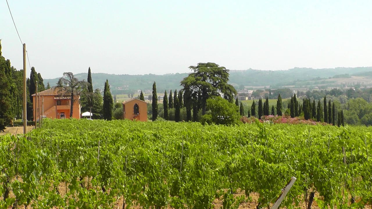 Hotel aus Richtung Weinfelder Hotel Agriturismo Santo Pietro