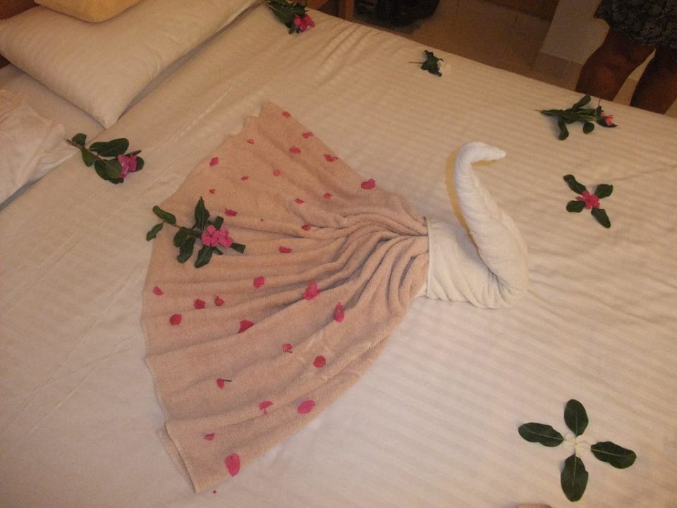Mein lieber Schwan Pickalbatros Dana Beach Resort - Hurghada