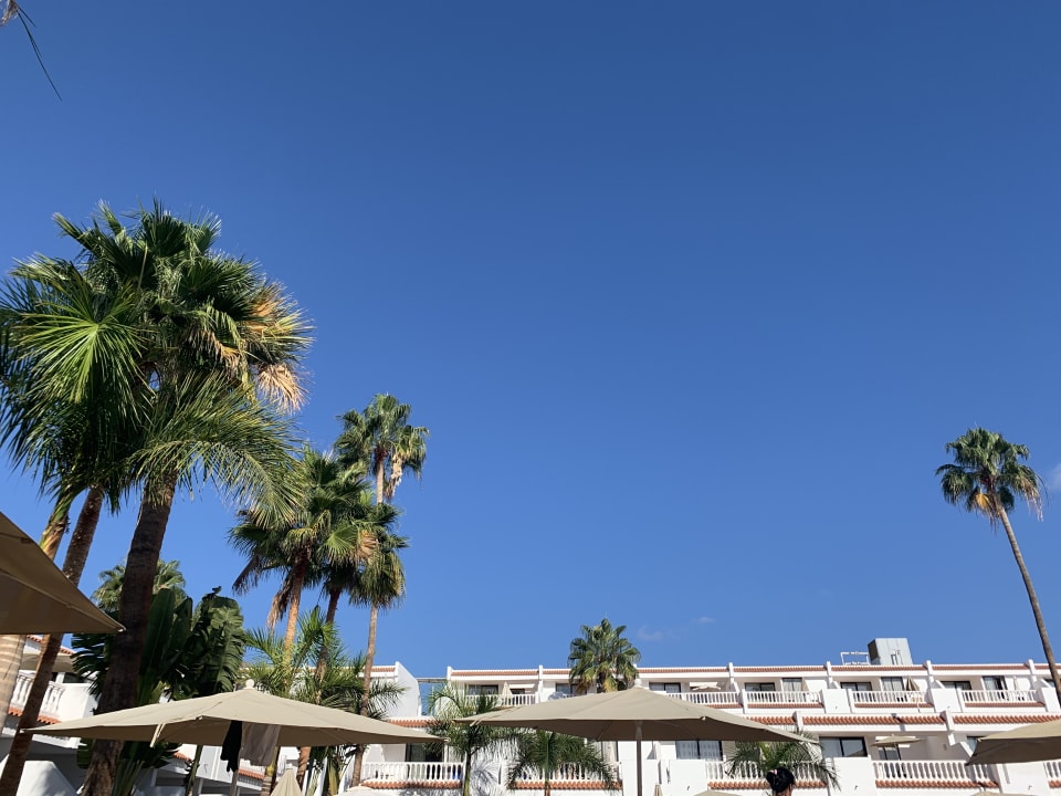 Ausblick allsun Hotel Los Hibiscos