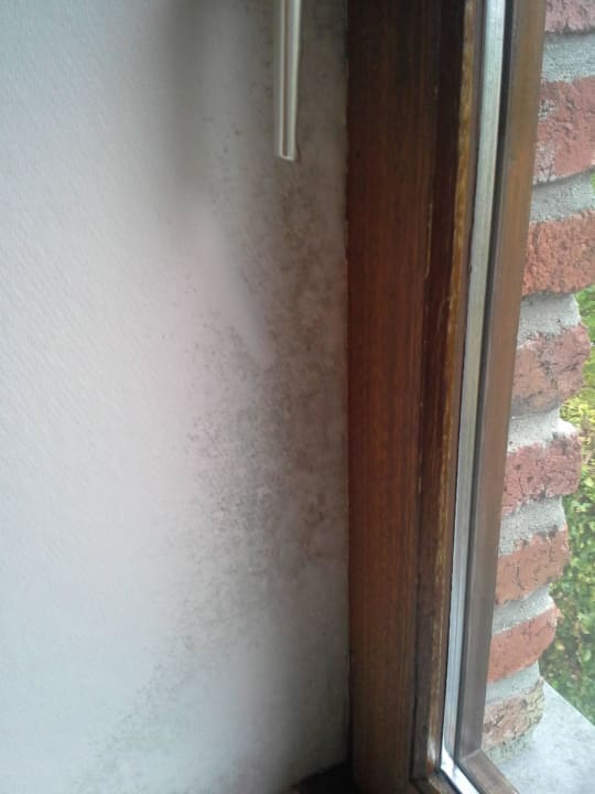 Wände im Zimmer komplett schimmelig Holiday House L'Hirondelle