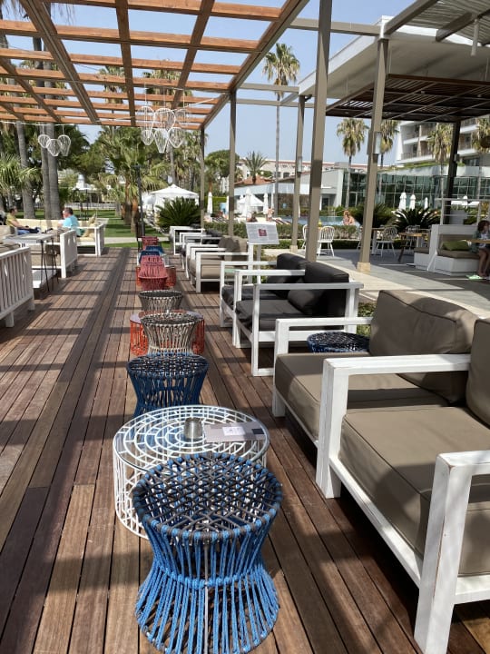 Gastro Acanthus Cennet Barut Collection