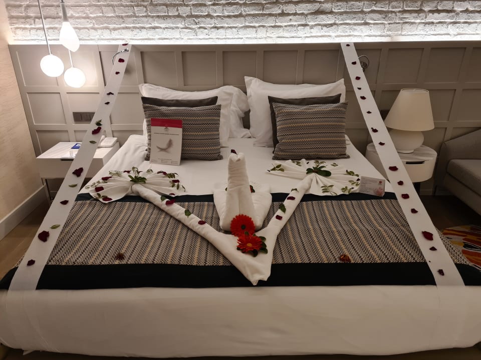 Zimmer Acanthus Cennet Barut Collection