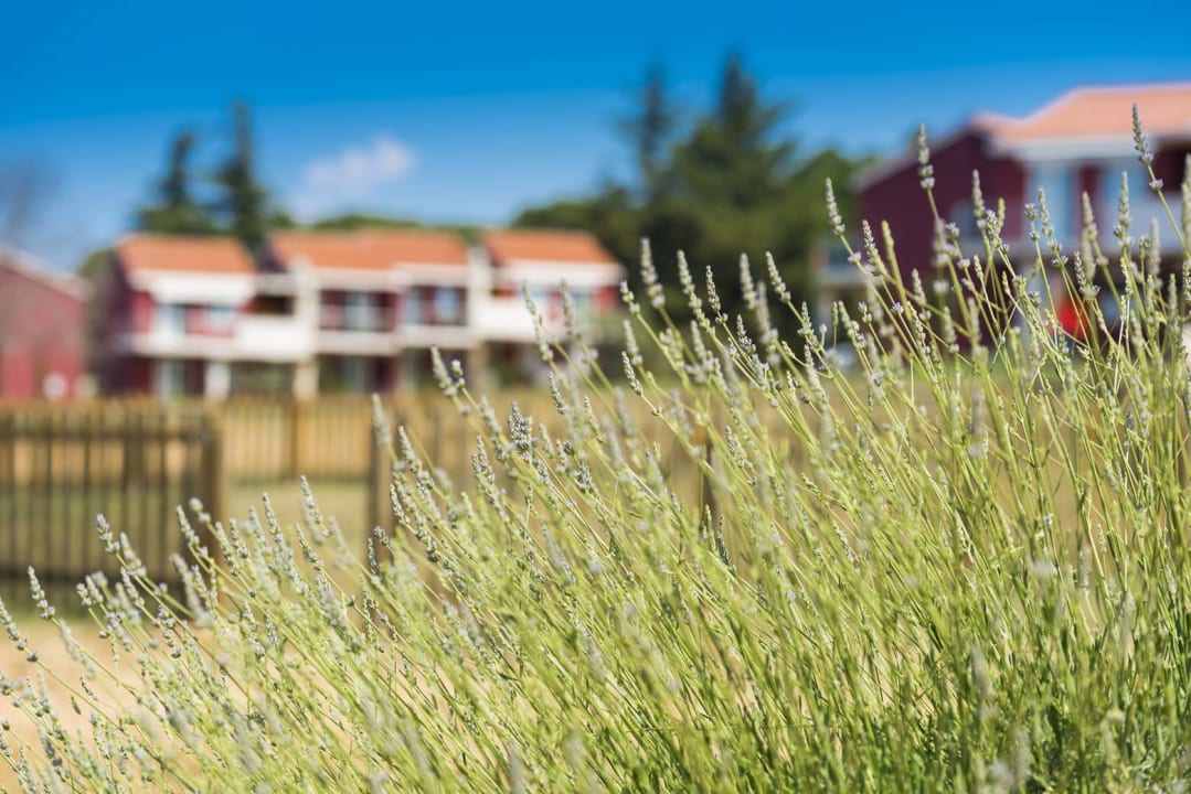Außenansicht Apartments Katoro Plava Laguna