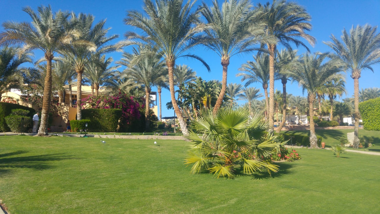 Gartenanlage Steigenberger Coraya Beach - Adults only