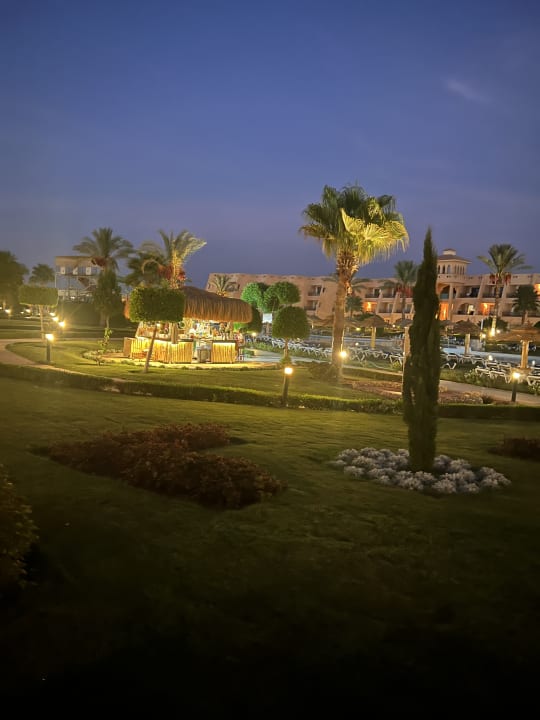 Zimmer Jasmine Palace Resort & Spa