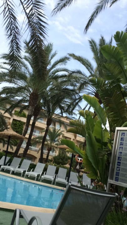 Pool Prinsotel La Dorada