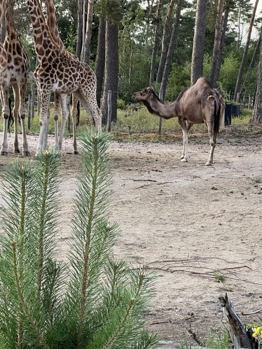 Sport & Freizeit Lake Resort Beekse Bergen