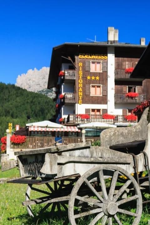 Hotel Edelweiss Hotel Edelweiss