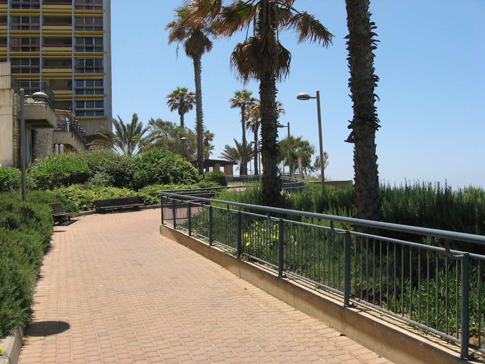 Дорога ведущая к морю Hotel King Solomon