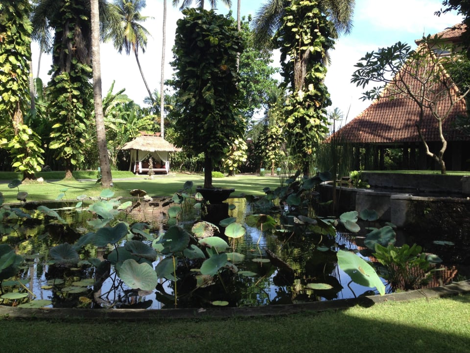 Gepflegter Garten Ramayana Candidasa