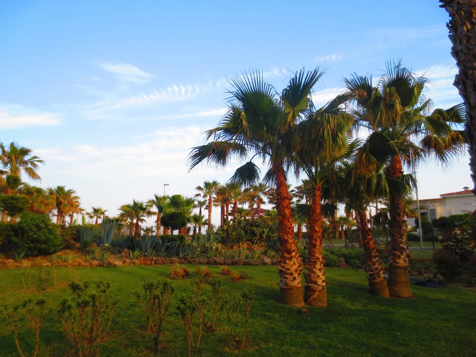 Gartenanlage VONRESORT Golden Coast