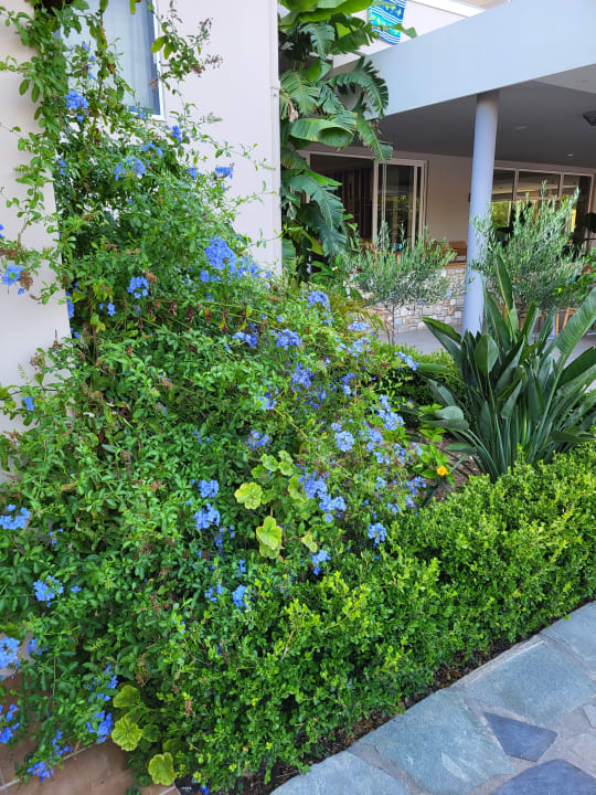 Gartenanlage Hotel Esperia