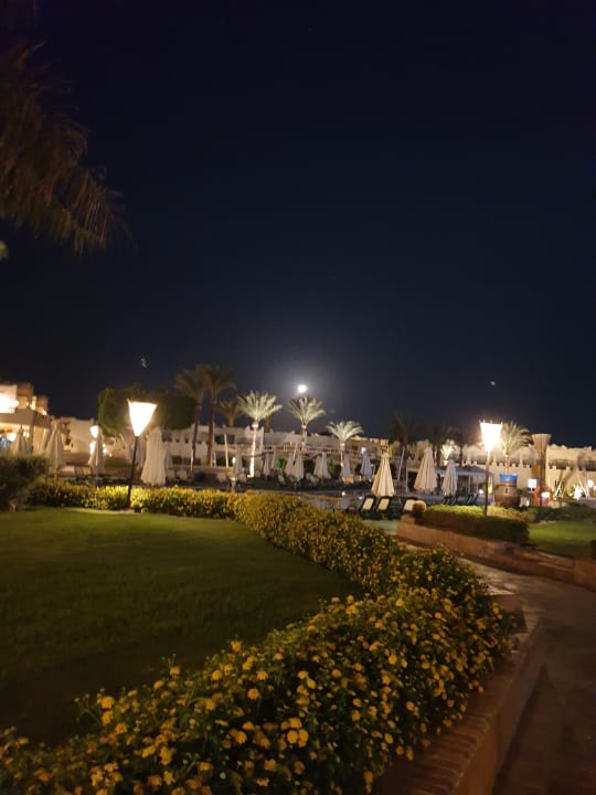 Gartenanlage Reef Oasis Beach Resort