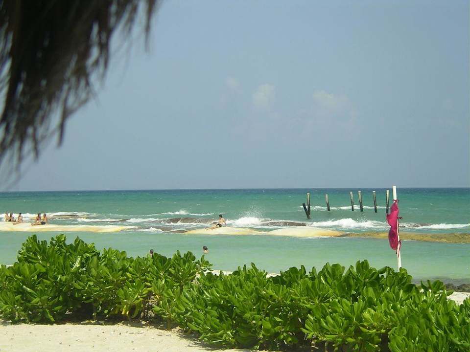 Strandaufnahme El Dorado Royale