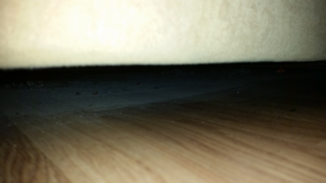 Zimmer Hotel Moguntia