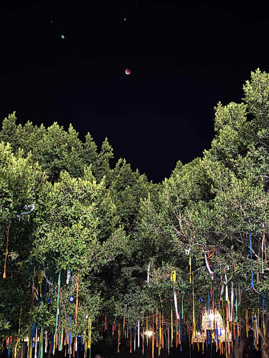 Außenansicht Selectum Family Resort Side