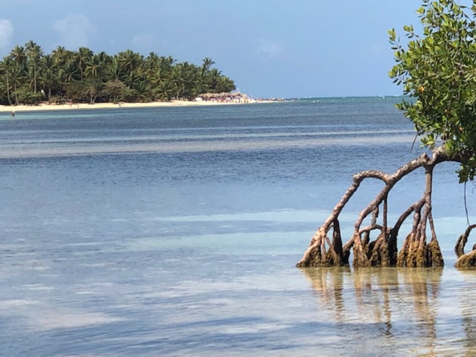 Strand Bahia Principe Grand El Portillo