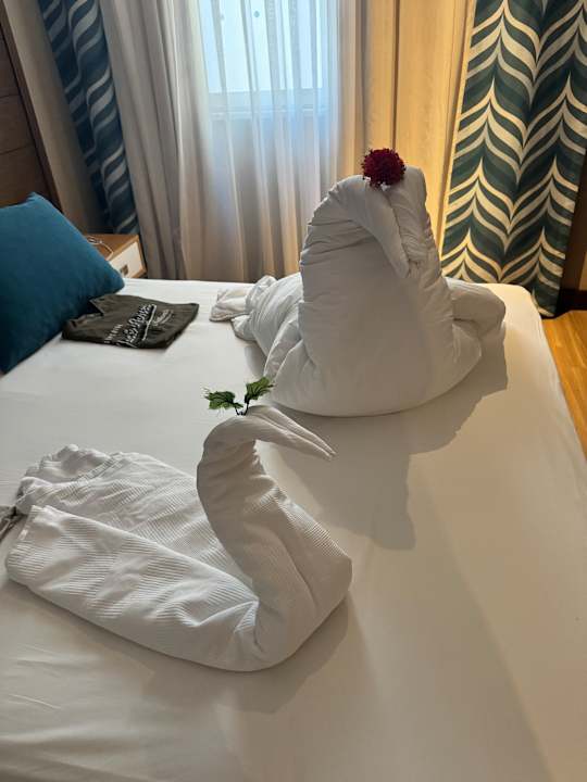 Zimmer Dream World Resort & Spa