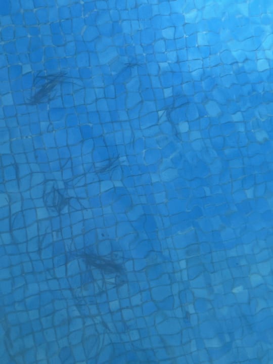 Pool Ona Palmira Paguera