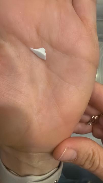 Gastro Delphin BE Grand