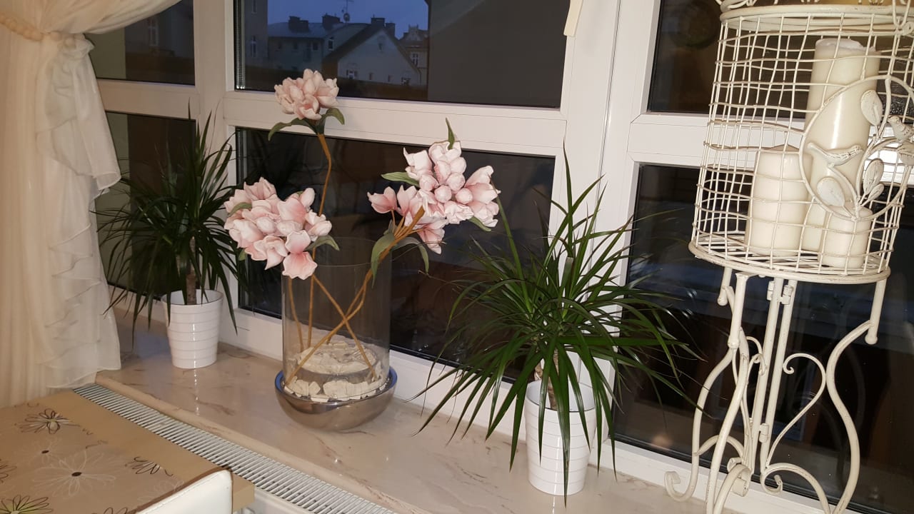 Gastro Villa Merry Spa & Wellness