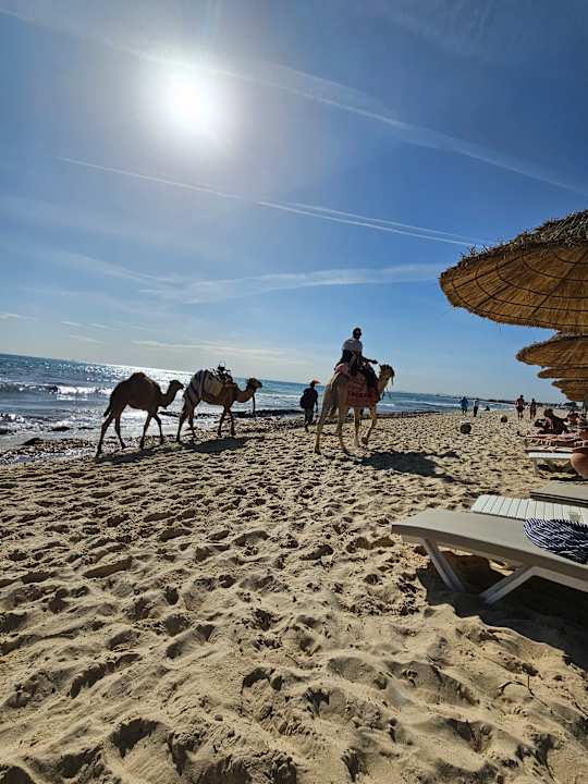 Strand Steigenberger Marhaba Thalasso Hammamet