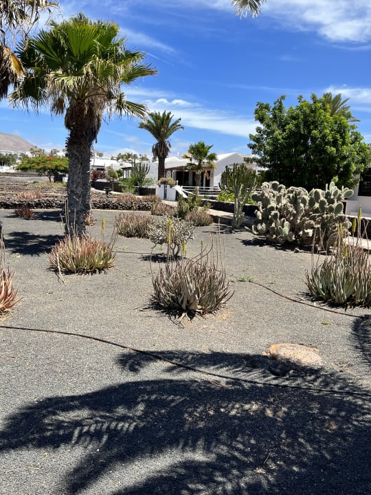 Gartenanlage Sentido Aequora Lanzarote Suite