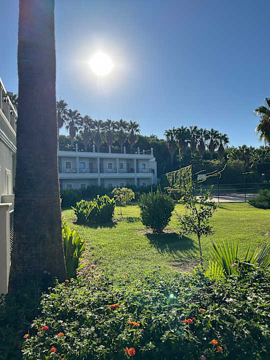 Gartenanlage Royal Atlantis Beach Hotel