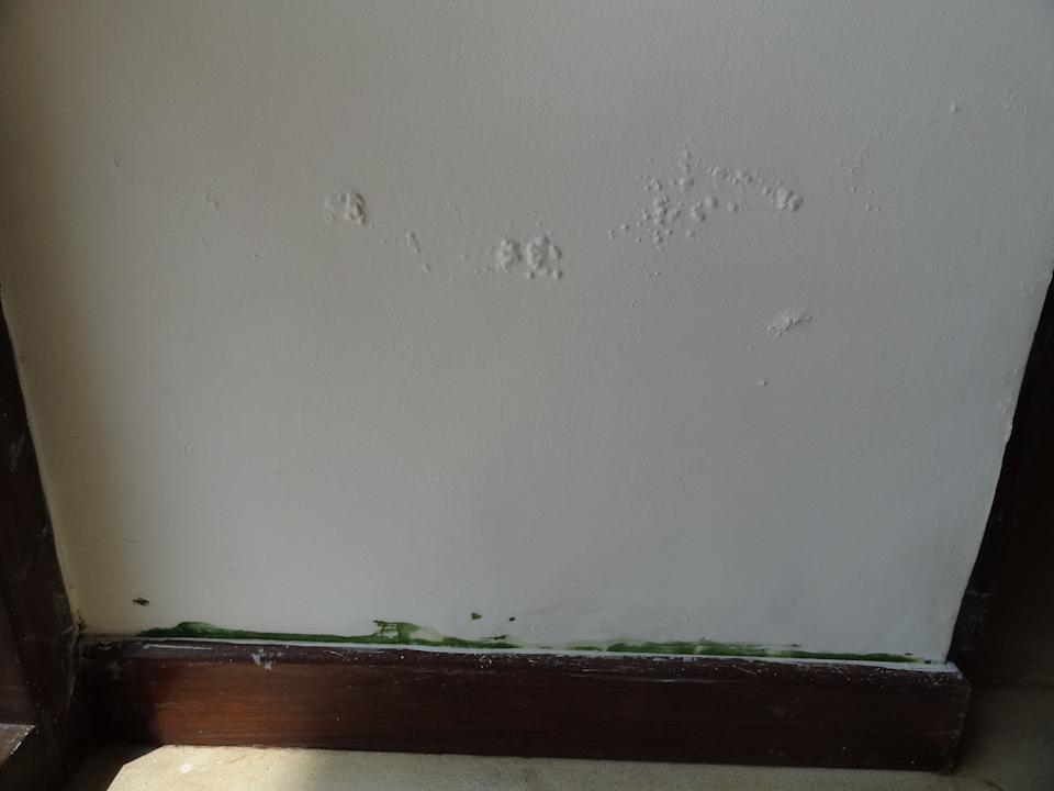 Manson Suite Haridra Resort & Spa