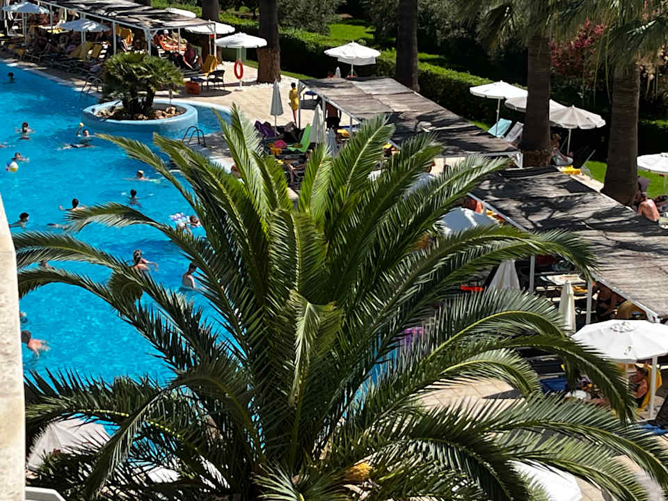 Pool allsun App.-Hotel Orient Beach