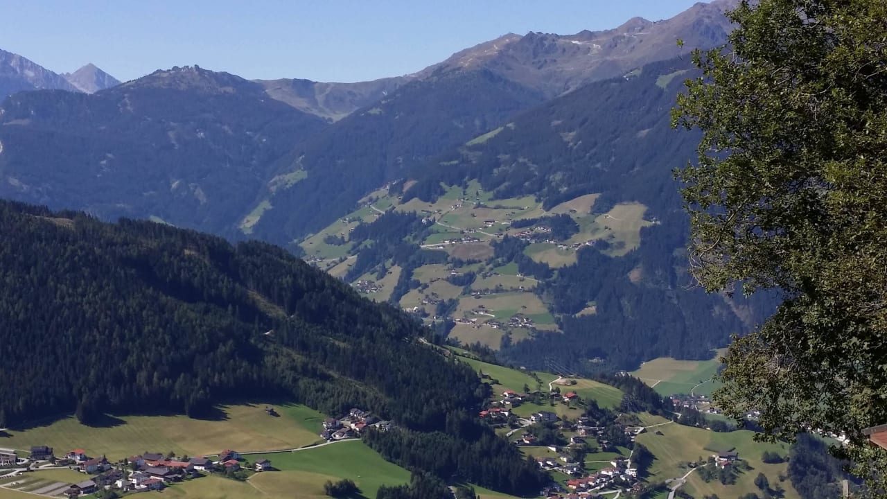 Blick ins Tal (August) Alpengasthof Enzianhof