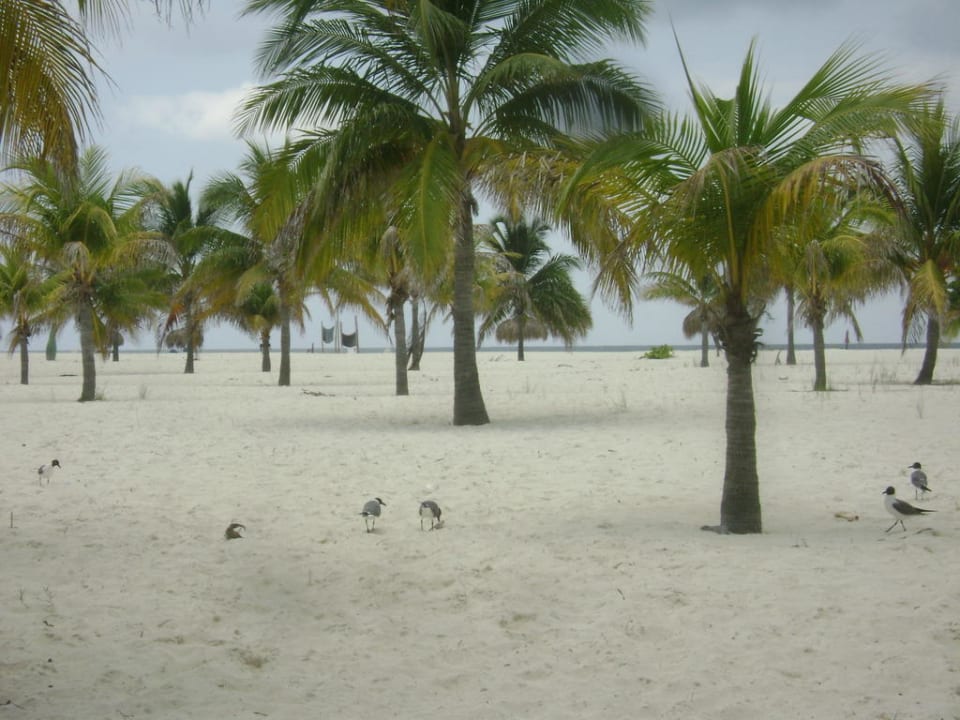 Strand Barcelo Solymar