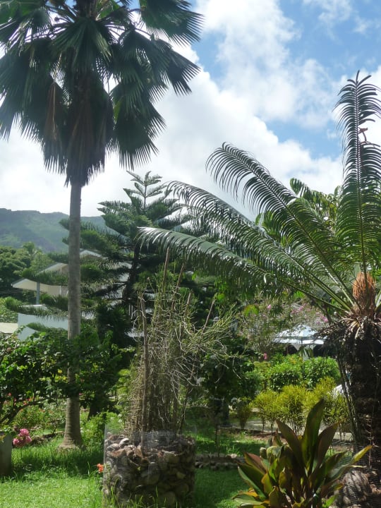 Garten Sun Resort Mahe