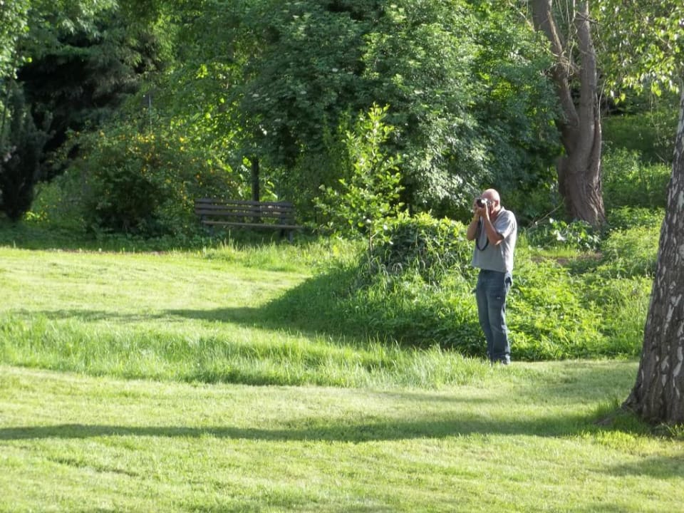 Garten Schlosshotel Stecklenberg