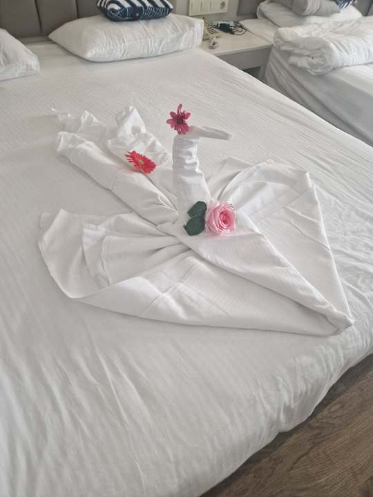 Zimmer Seaden Sea World Resort & Spa