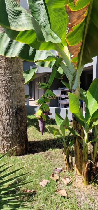 Außenansicht Arina Beach Resort