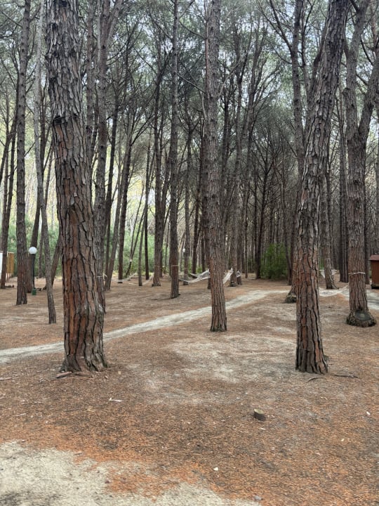 Gartenanlage TUI MAGIC LIFE Calabria