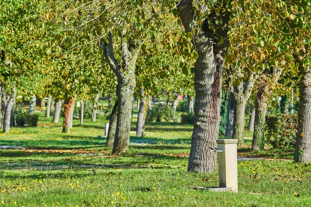 Gartenanlage Camping Zelena Laguna