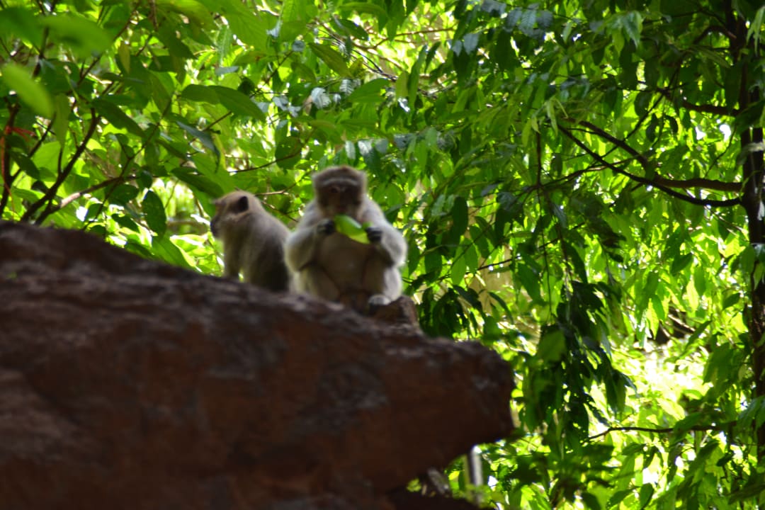 Sonstiges Khaolak Oriental Resort - Adults only