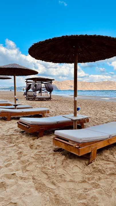 Strand Delfina Tropic Beach