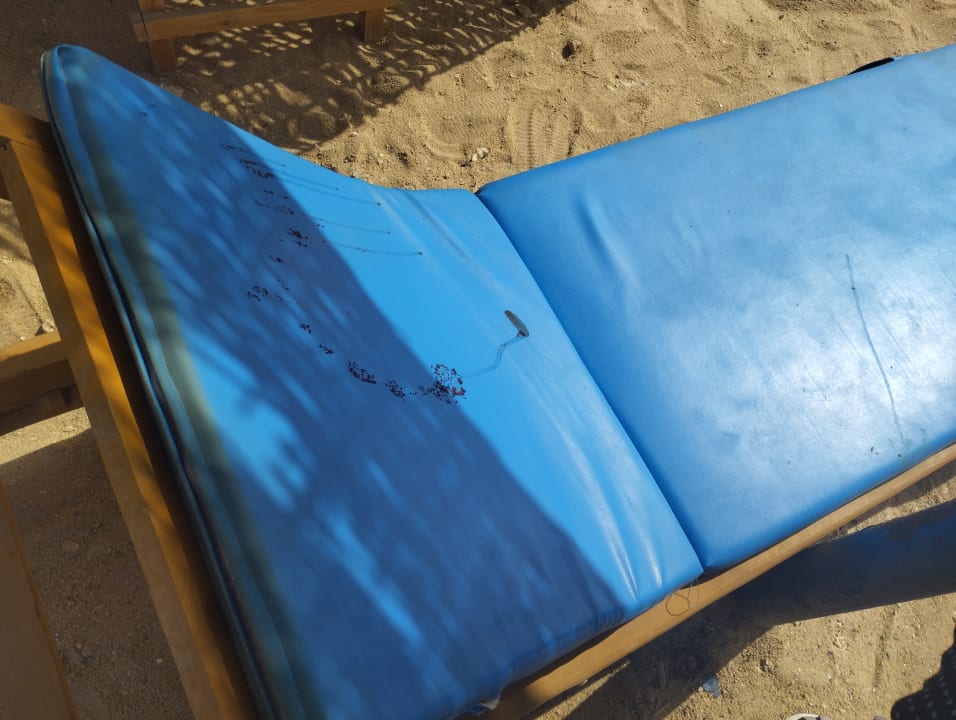 Strand Beach Safari Nubian Resort