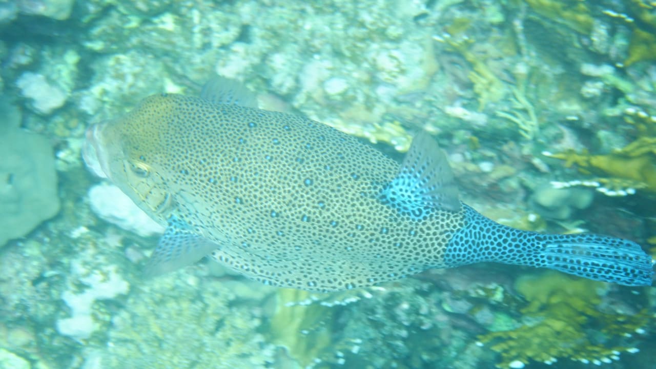 Sport & Freizeit Casa Mare Resort