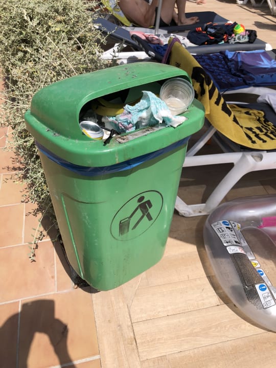 Gartenanlage Alcudia Garden Aparthotel