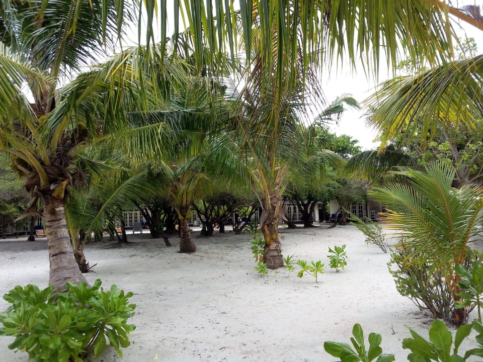 Bungalows Adaaran Select Meedhupparu Island Resort - Premium All Inclusive