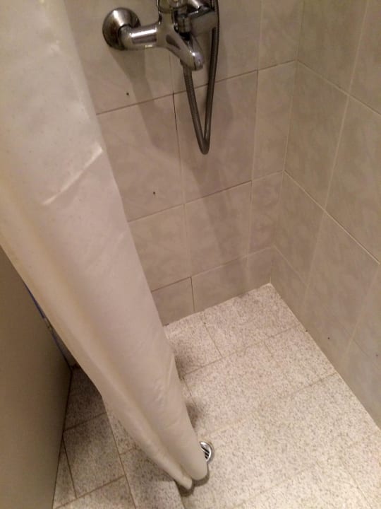 Die kleinen schwarzen Punkte sind Kloakenfliegen Acharavi Beach Hotel