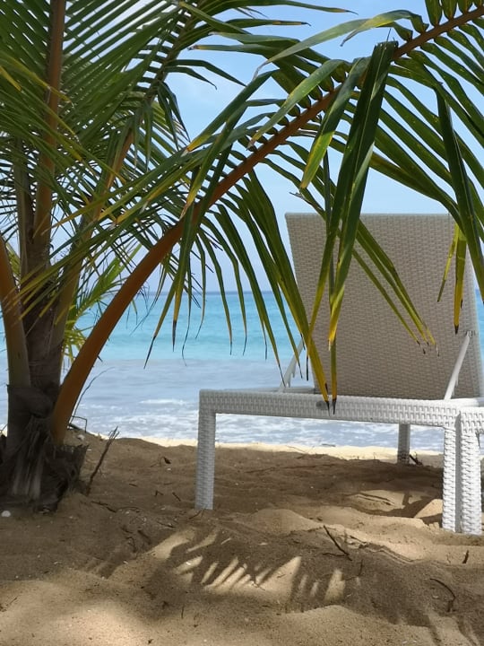 Strand Viva V Samana by Wyndham – Adults Only