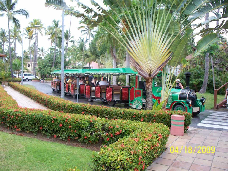 Bimmelbahn im Hotel Hotel Grand Palladium Palace Resort, Spa & Casino