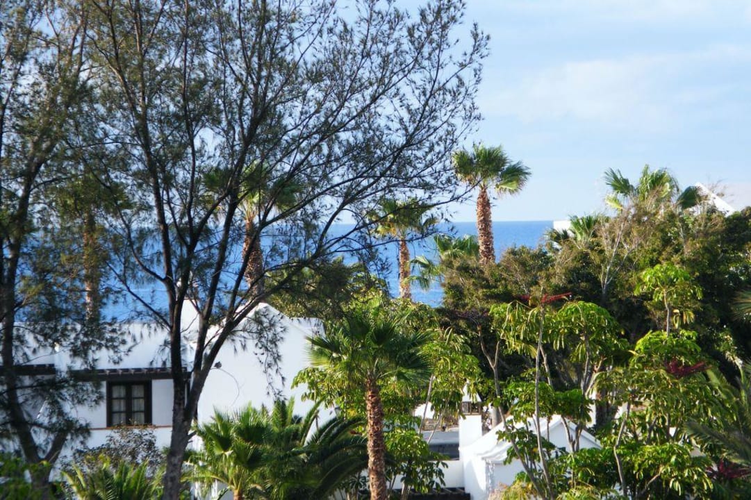 Ausbilck allsun App.-Hotel Albatros