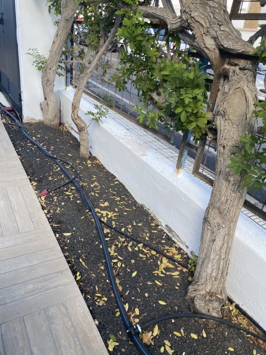 Gartenanlage Bakour Lanzarote Splash