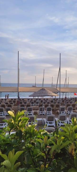 Strand Arycanda Kirman Premium